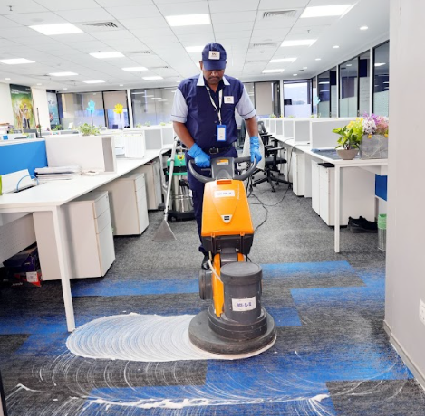 Carpet Shampooing